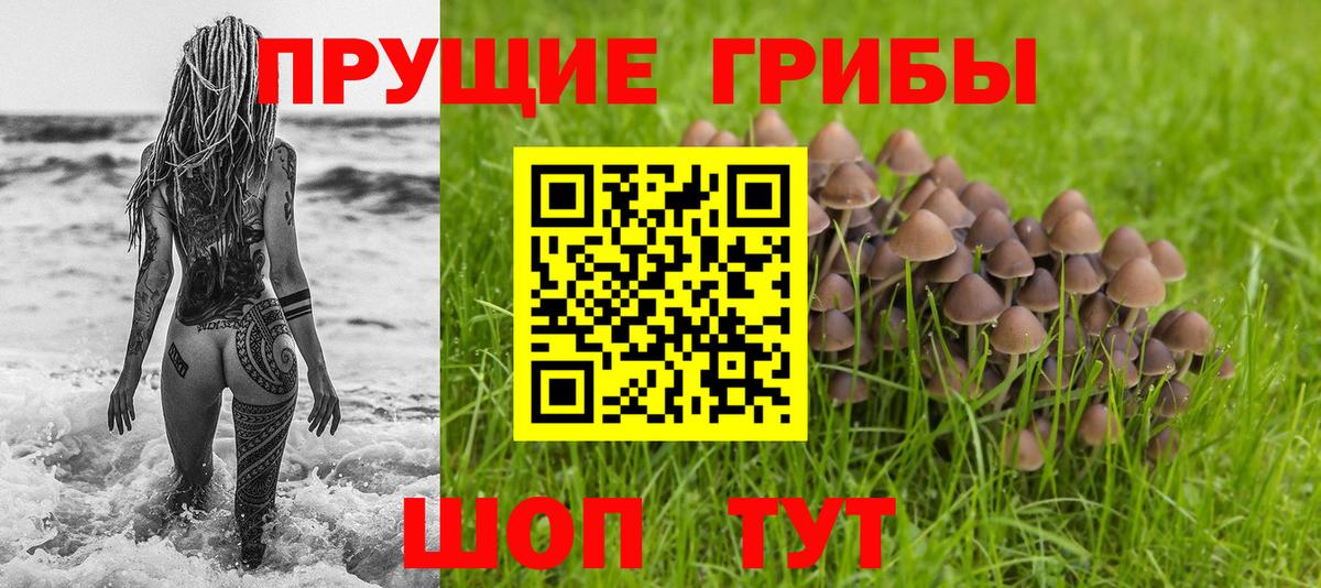 Псилоцибиновые грибы мухоморы Армавир